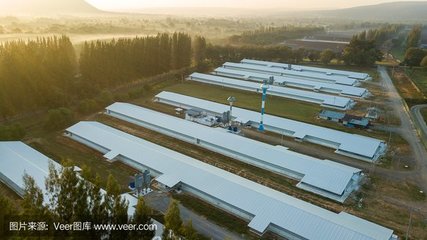 望江縣長江流域農副產品冷鏈物流基地建設項目 推動農業現代化與區域經濟發展