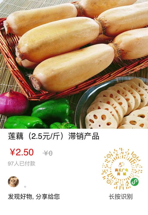 廣電西院周六公益大集 蘿卜蘋果薺菜，農副好物等你來