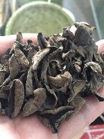 東北農(nóng)副產(chǎn)品概覽 常見(jiàn)品類、價(jià)格趨勢(shì)與識(shí)別指南