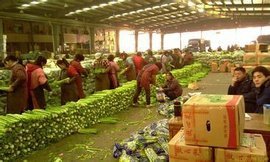 杭州農(nóng)副產(chǎn)品物流中心 長(zhǎng)三角的“菜籃子”與流通樞紐