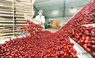 新疆扎實做好鄉村振興大文章 產業興、鄉村美、農民富，農副產品發展譜新篇